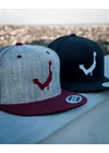 Face Team Classic Snapback szürke/gesztenyebarna