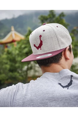 Face Team Classic Snapback szürke/gesztenyebarna