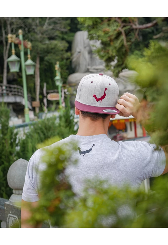 Face Team Classic Snapback szürke/gesztenyebarna